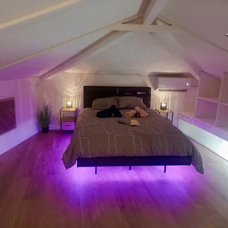דירה Duplex Chez Sabrina Et Julien ניס
