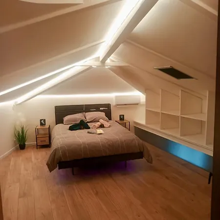 דירה Duplex Chez Sabrina Et Julien ניס