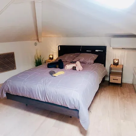 דירה Duplex Chez Sabrina Et Julien ניס